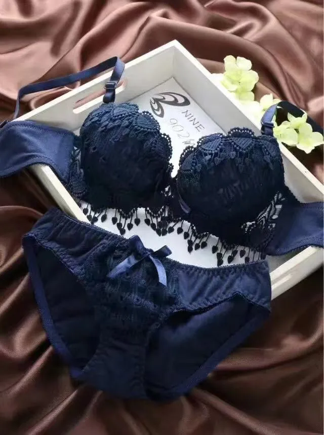 Sajiero Floral Embroidery Bella Padded Bra and Panty Set